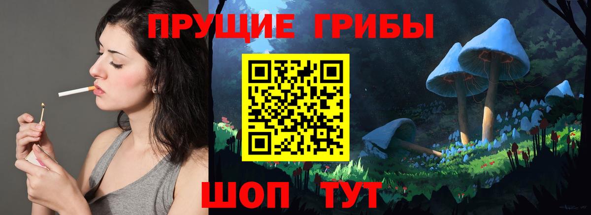 Псилоцибиновые грибы GOLDEN TEACHER Красноуфимск